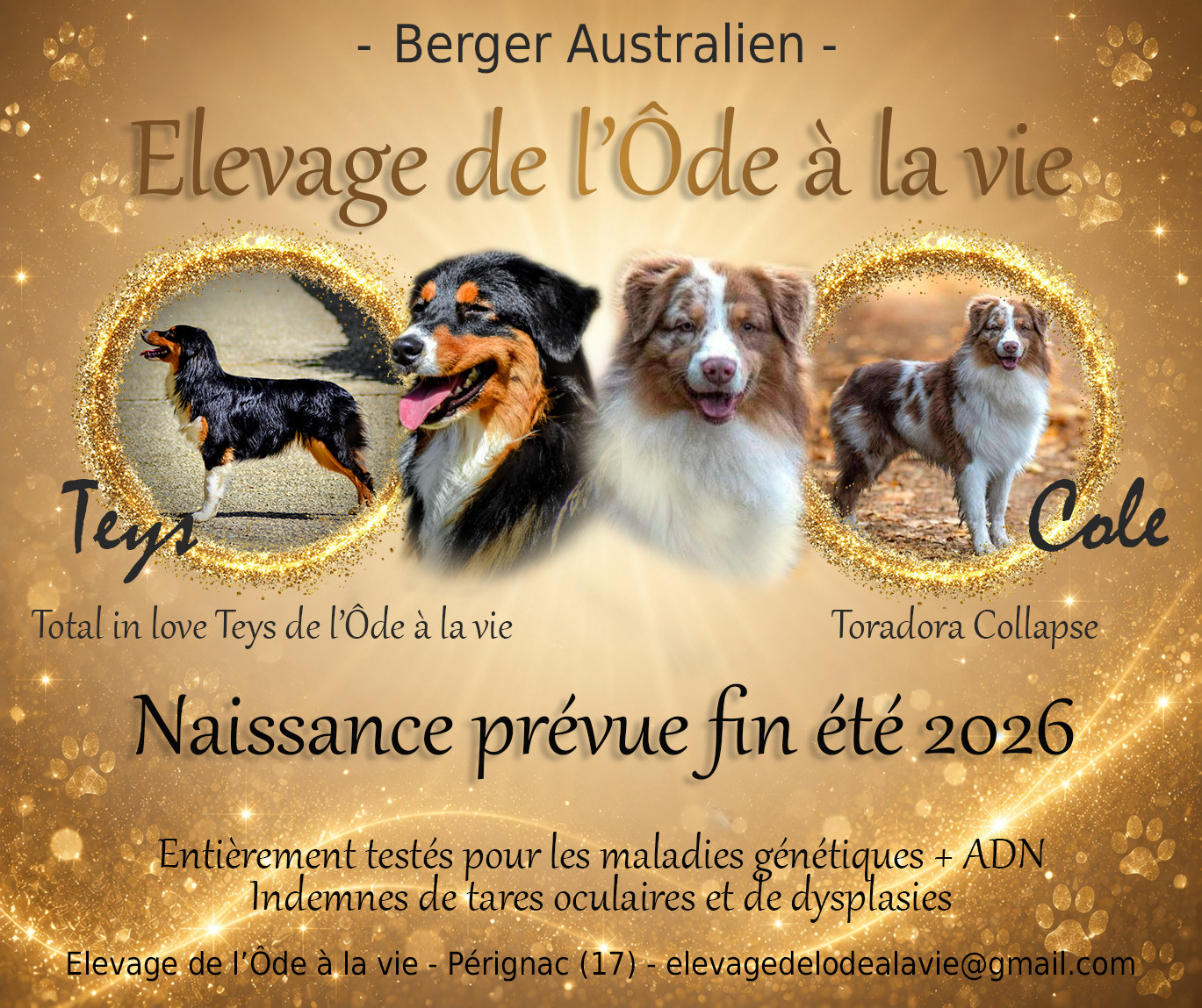 Nouvelle portée pour 2026